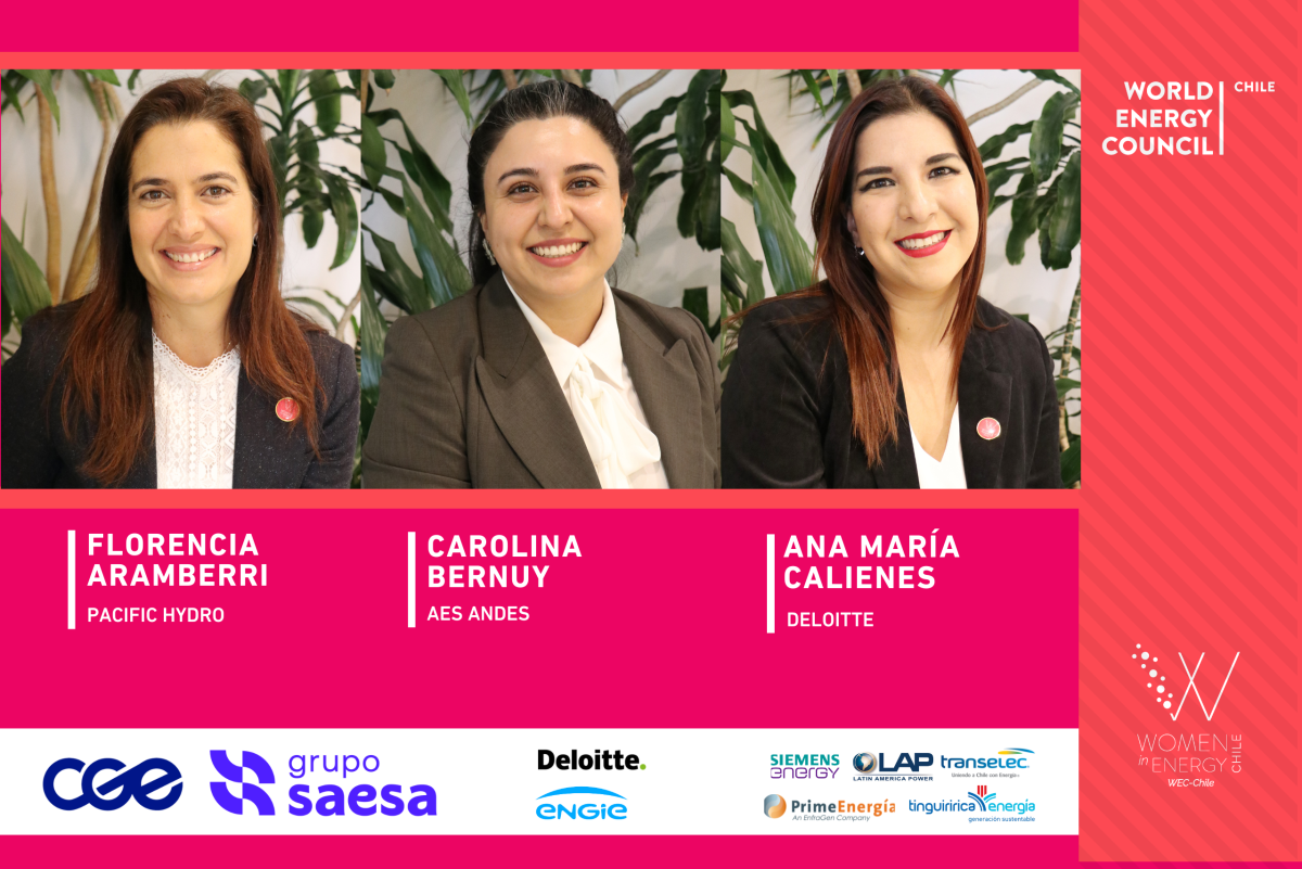 Conoce a la 6ta Generación de Women in Energy WEC Chile: Florencia ...